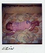 Levi 123.jpg: 1981/06/15 - Erin 8 weeks